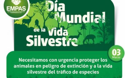 Día Mundial de la Vida Silvestre