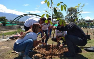 Comprometidos con el ambiente