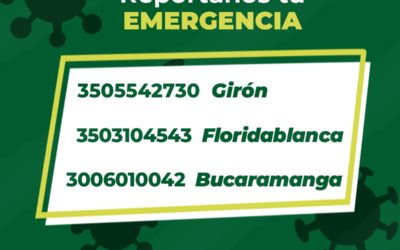 Estas son nuestras líneas de emergencia