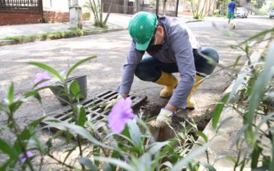 Cronograma de limpiezas para el área de influencia